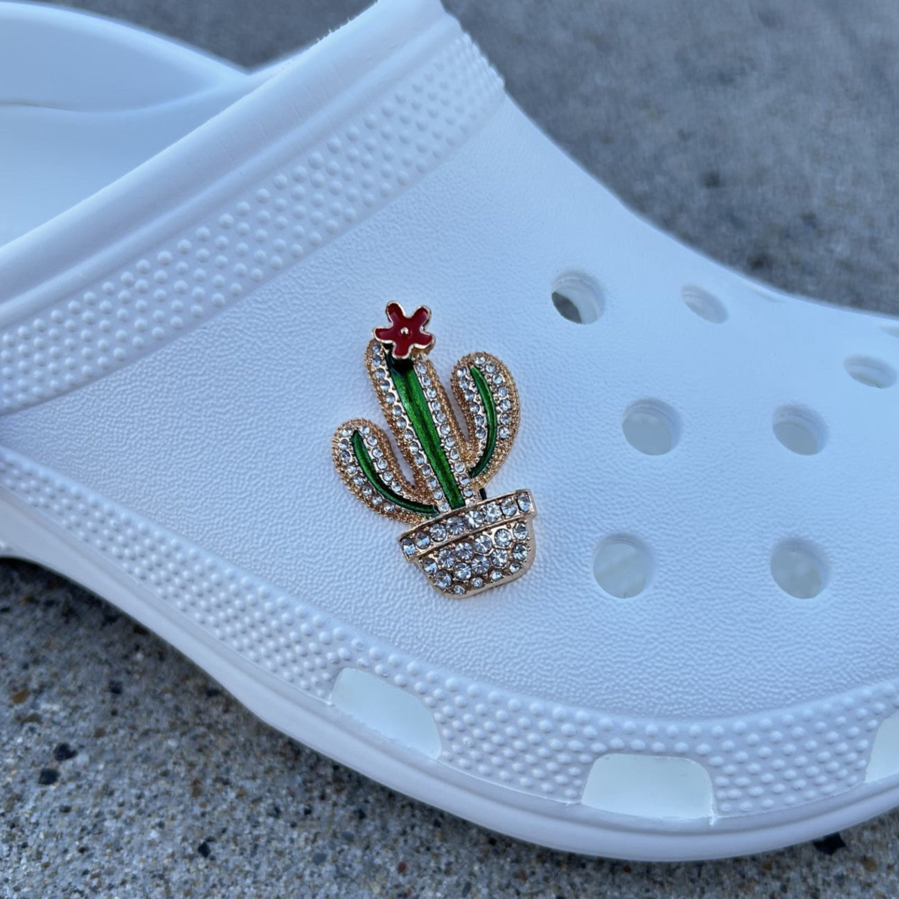 Cactus Bling Croc Charm