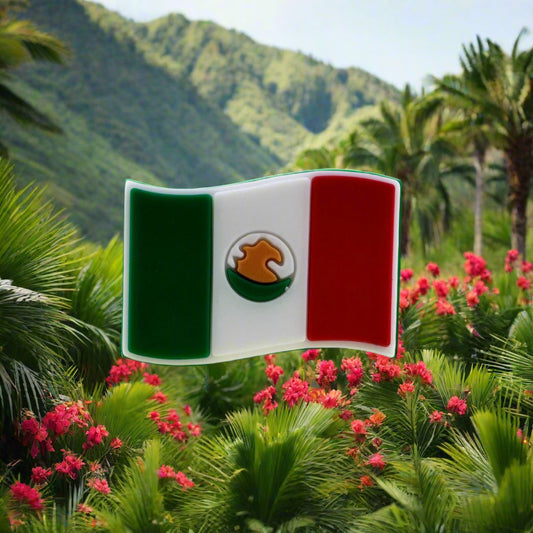 Mexico Flag Croc Charm